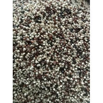 Quinoa Tri Color - Premium Mixed Quinoa Pakistan